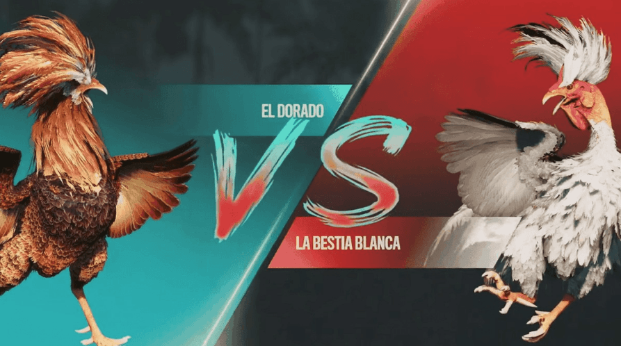 a40 Plataforma Exclusiva e Games Exclusivos